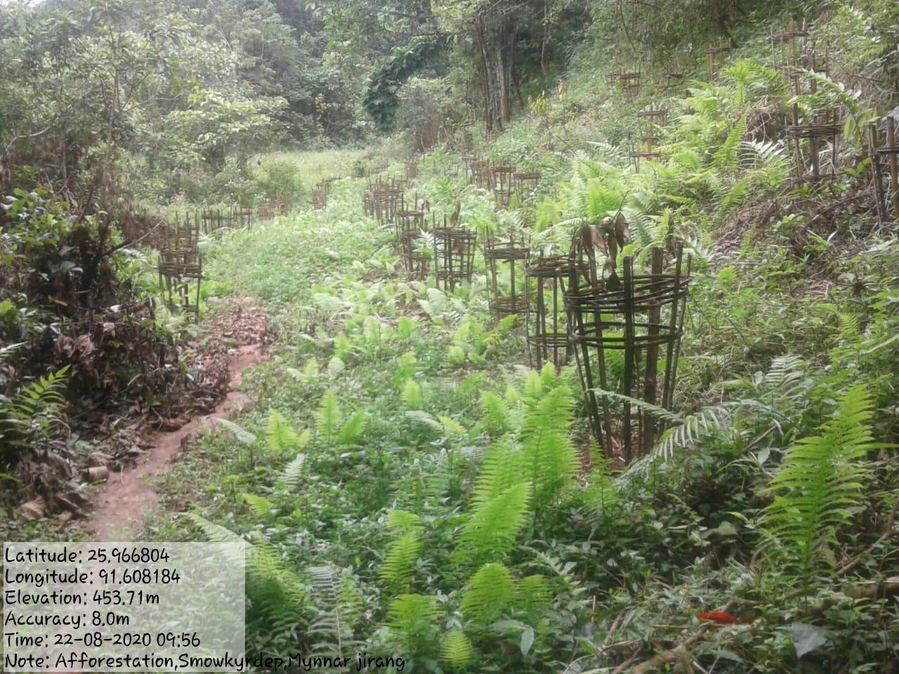 D:\chel's\basin\JIRANG BLOCK\MYNNAR JIRANG\IMG-20220428-WA0008.jpg